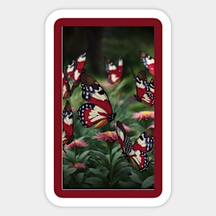 American Butterflies US Flag Beautiful Butterfly Sticker